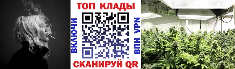 Виды наркотиков купить Покров Галлюциногенные грибы A-PVP АМФЕТАМИН Марихуана КОКАИН