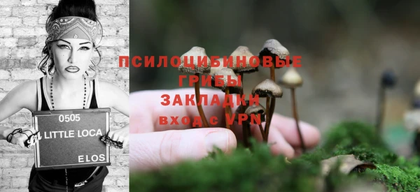 крисы Армянск