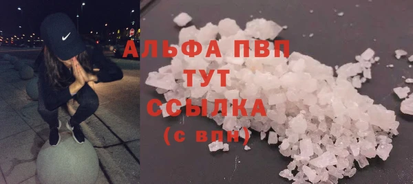 дживик Пересвет
