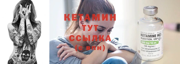 крисы Армянск