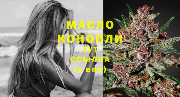 крисы Армянск