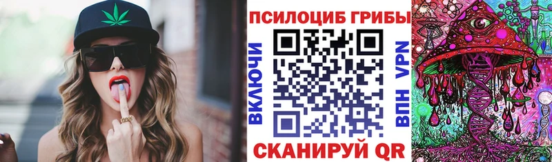 Псилоцибиновые грибы мицелий  купить наркотик  Покров 